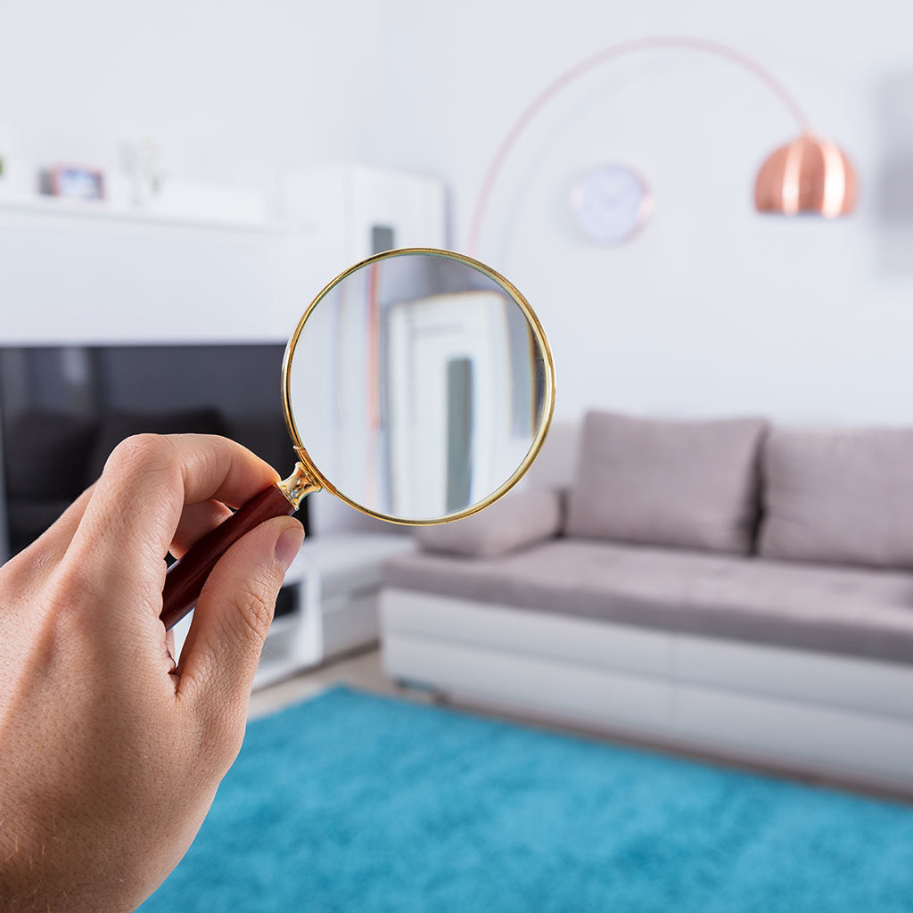 Ogden Services Home Sale Inspections